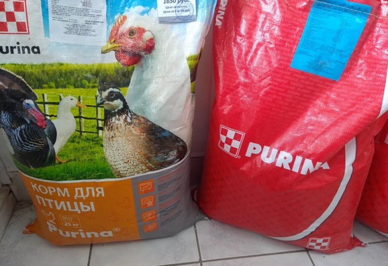 Комбикорм «Purina»