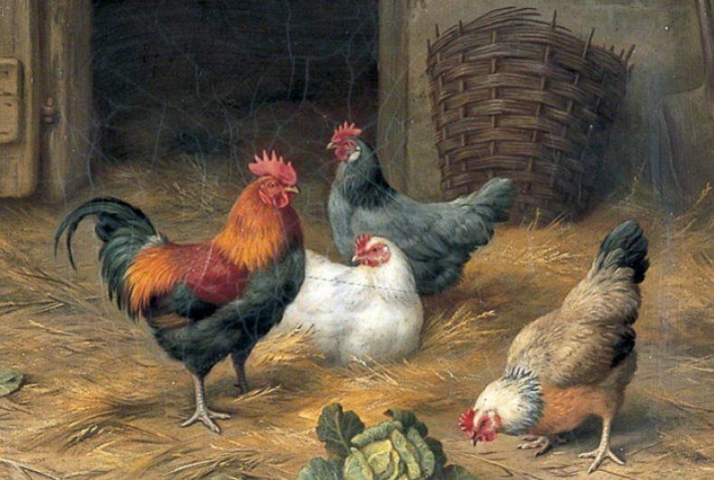Эдгар Хант Петух и три курицы