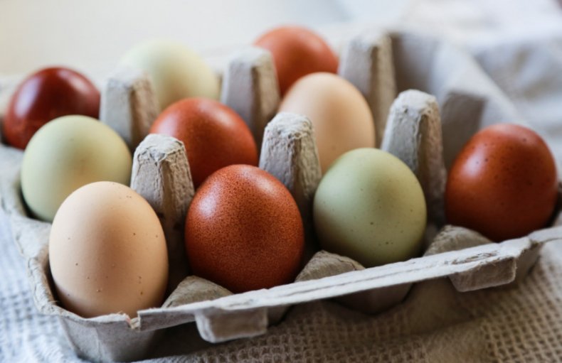 Яйца с цветной скорлупой