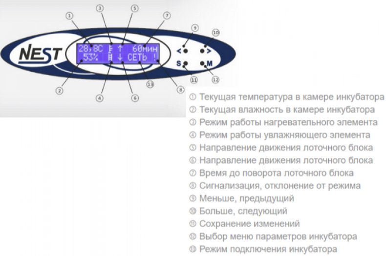 Инкубатор-автомат Nest 200