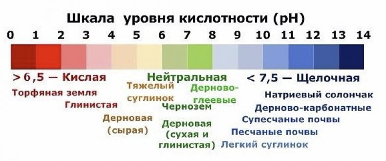 Шкала кислотности почвы