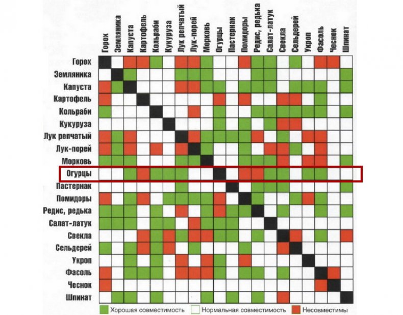 Таблица совместимости растений на грядке