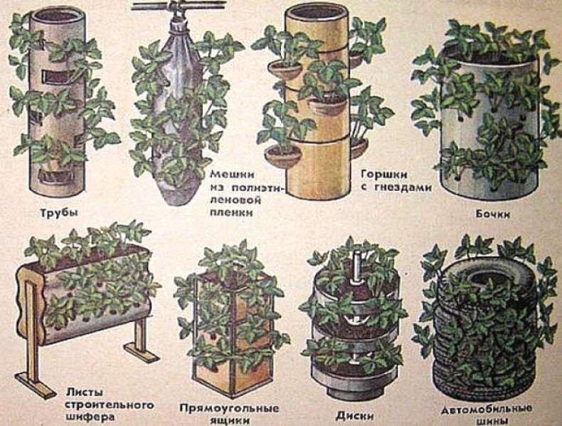 Вертикальные грядки