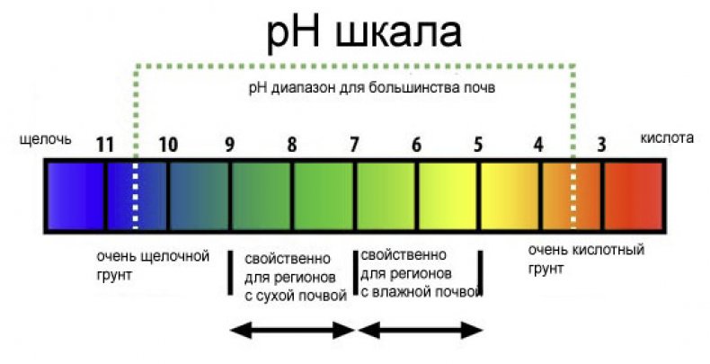 Шкала кислотности