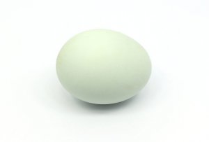 Яйцо утиное