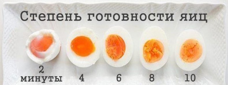Степень готовности яиц
