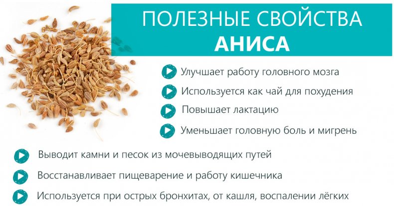 Свойства аниса