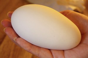 Гусиное яйцо