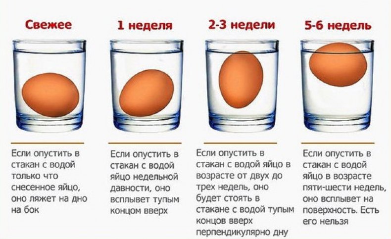 Проверка яйца на свежесть в воде