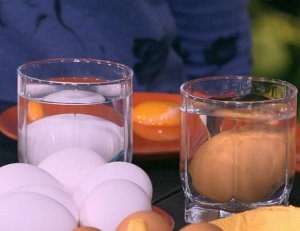 Как проверить свежесть яйца, опустив его в воду