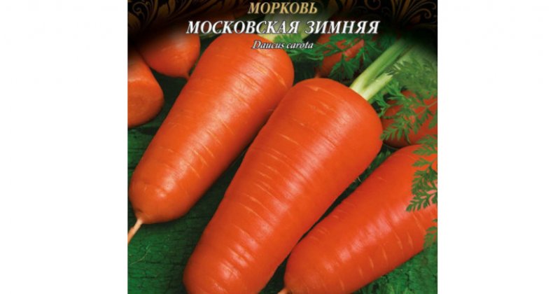 Московская зимняя