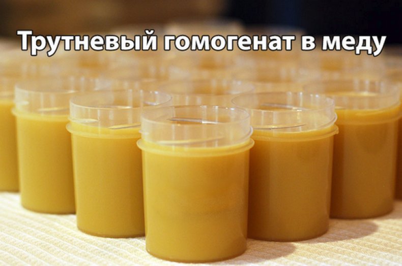 Трутневое молочко