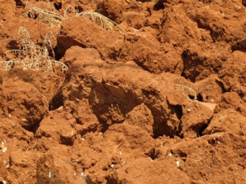 Глиняная почва
