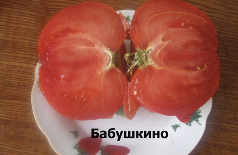 Сорт Бабушкино