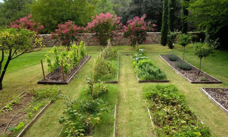 Сад и огород на участке