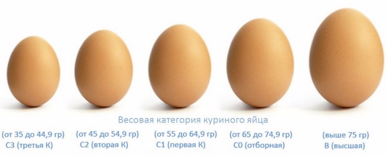 Весовая категория яиц
