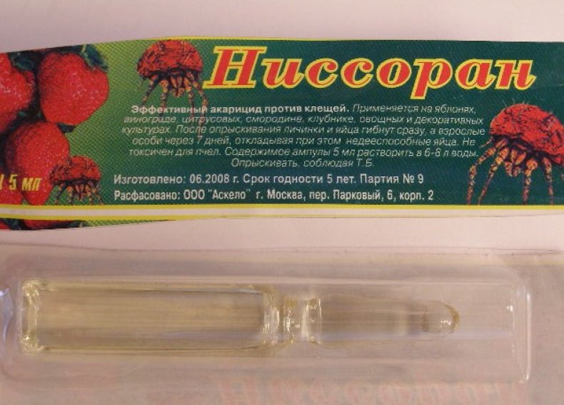 Ниссоран