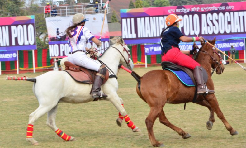 Manipuri Pony