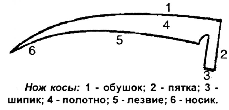 Полотно