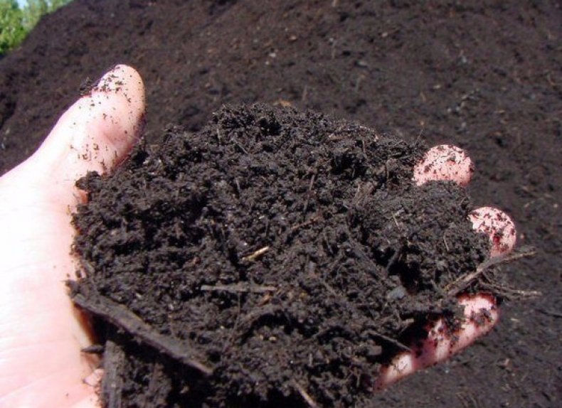 Тип почвы