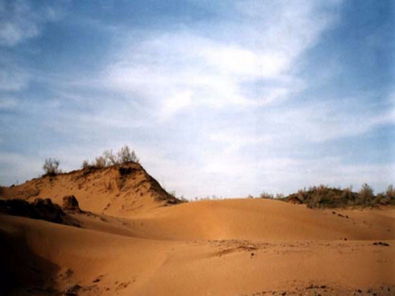 Песчаные почвы