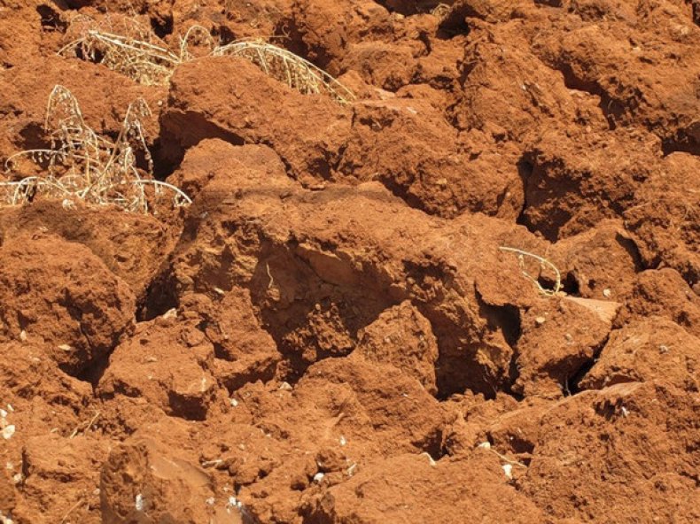 Глинистые почвы