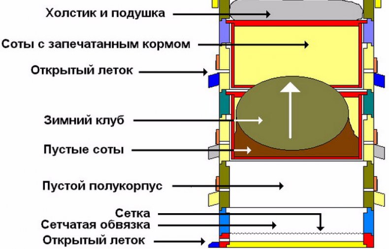 чертеж