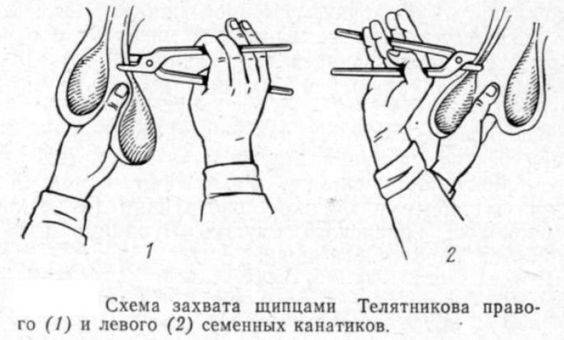 Открытая кастрация