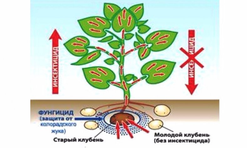 Принцип действия