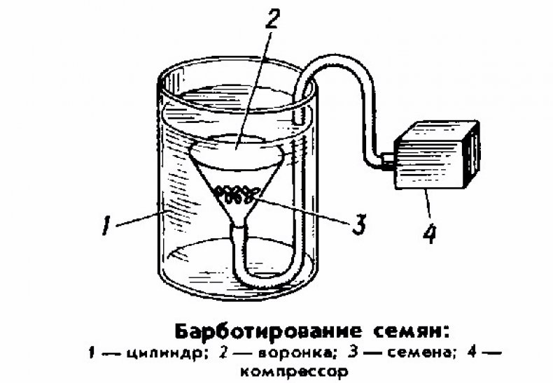 Барботирование семян