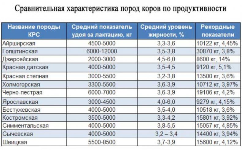 Сравнительная характеристика пород коров по продуктивности