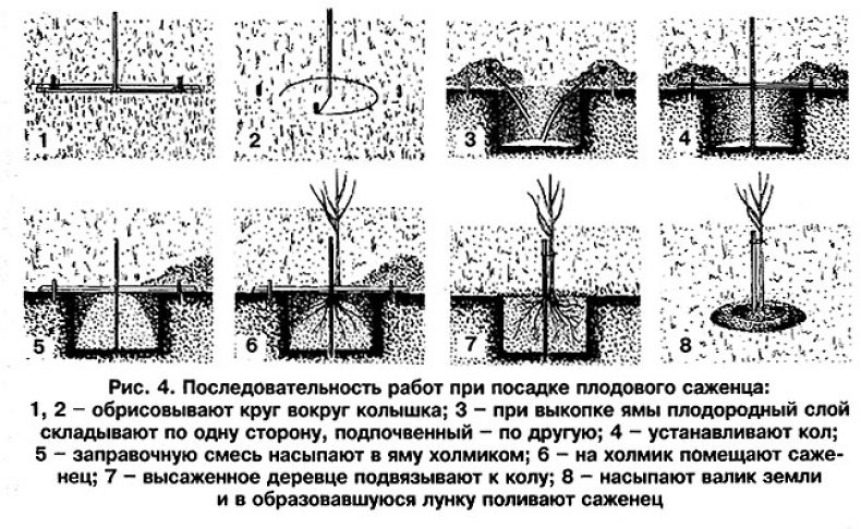 Посадка