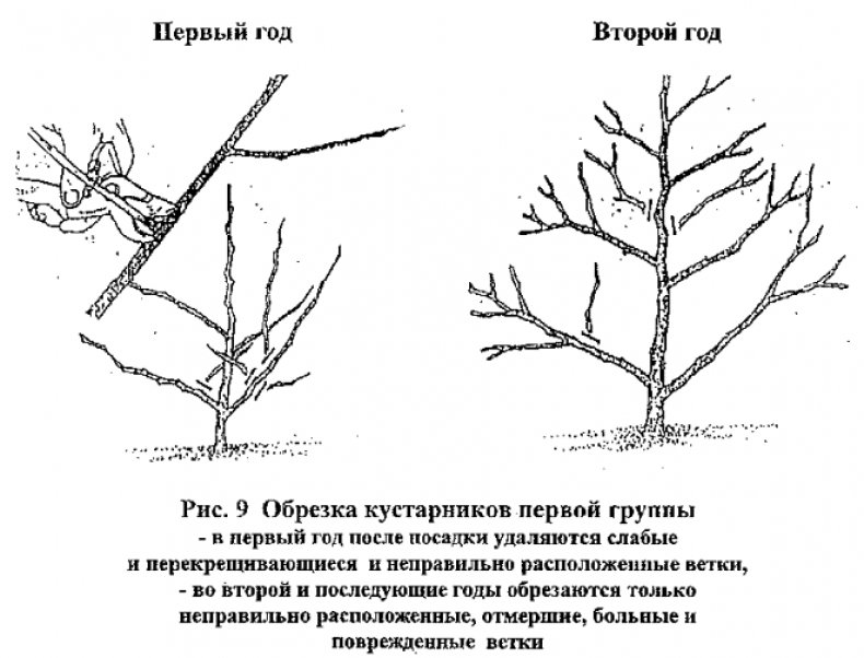 Обрезка