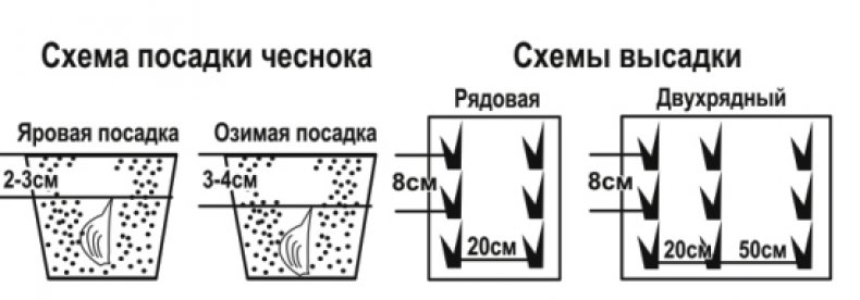 Схема