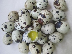 Желток яйца может вызвать отток желчи в организме