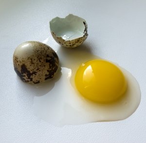Сырые яйца опасны тем, что могут быть заражены сальмонеллезом