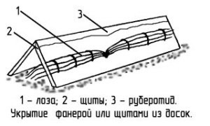 Виноград можно укрывать шифером