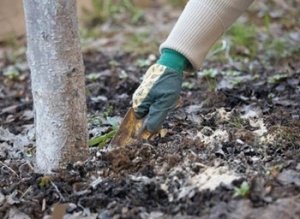 Рыхление способствует поступлению воздуха в почву