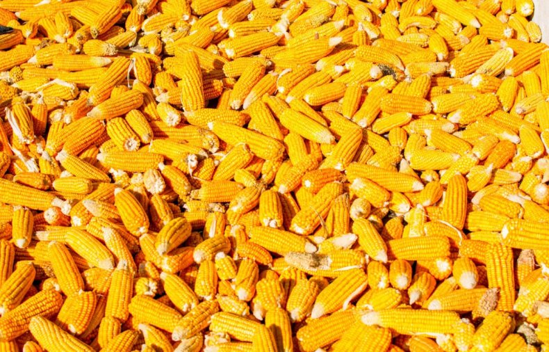 Цены на кукурузу
