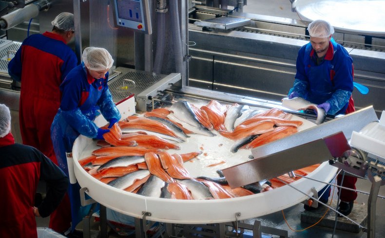 Производство рыбы в Тюрингии сократилось