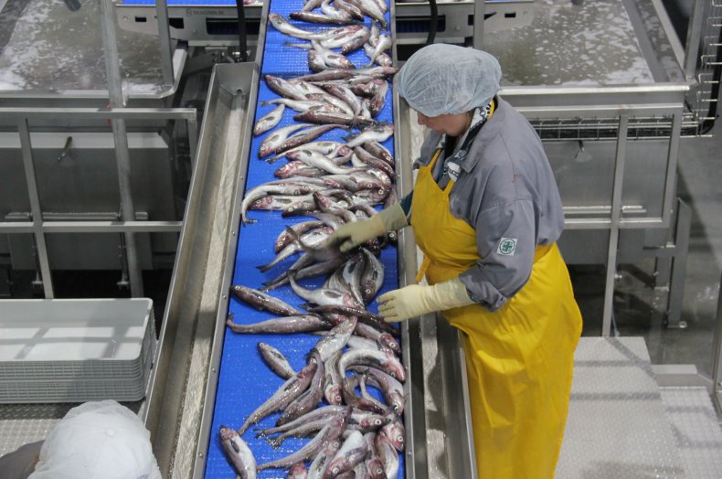 Производство рыбы в Тюрингии сократилось