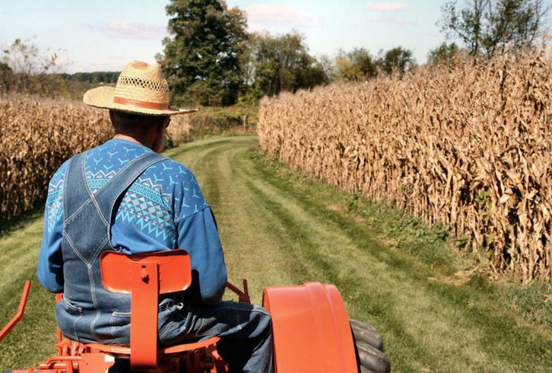 Проблемы, с которыми сталкиваются американские фермеры