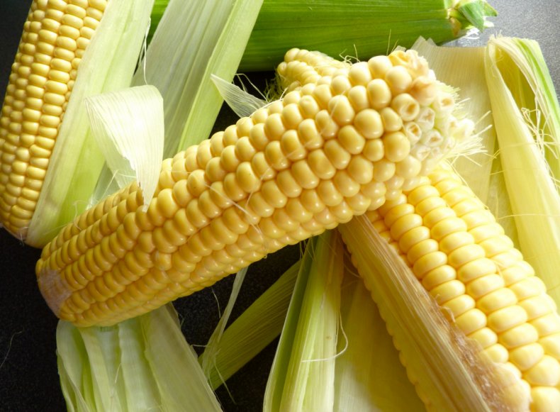 Осадки замедляют сбор урожая сои и кукурузы в Аргентине