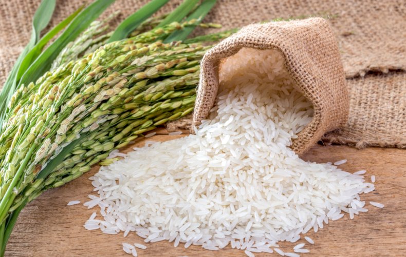 Украина увеличила производство и экспорт риса